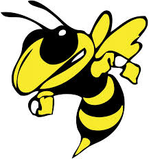 Hornets 