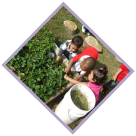Students Working In Garden Students Working In Garden